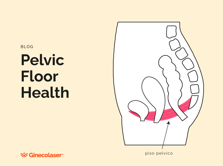 Pelvic Floor Health
