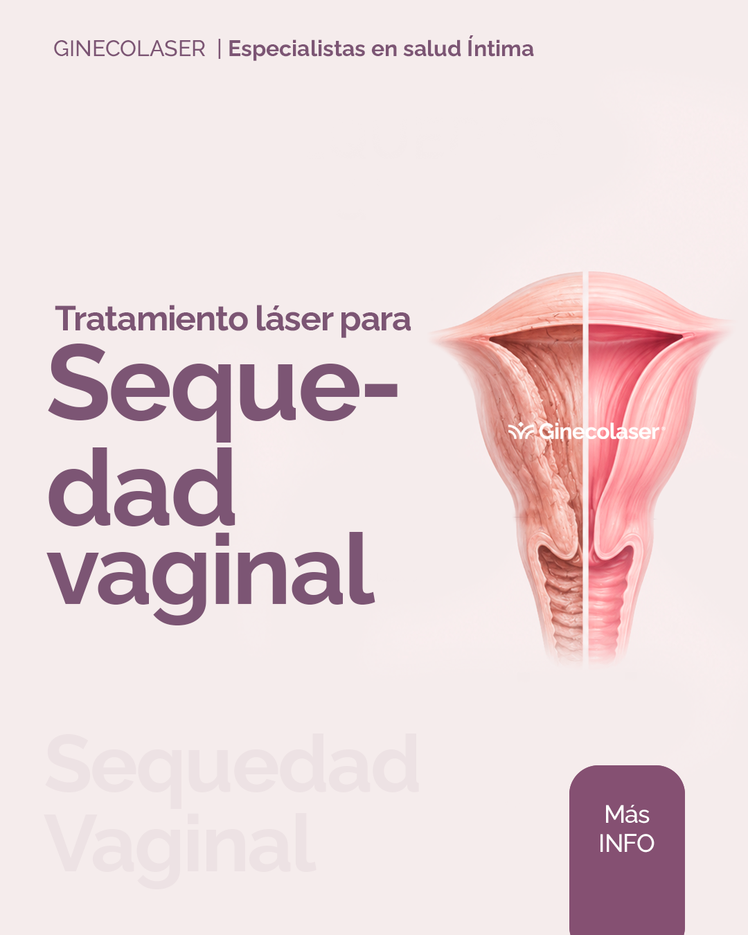 Sequedad vaginal